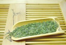 喝雪水云绿茶对身体有什么好处-茗扬网