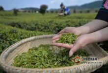 金水翠峰制作工艺-茗扬网