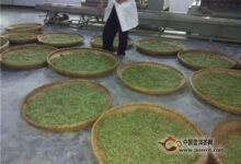 金水翠峰是什么茶-茗扬网