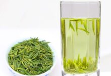 峨眉山茶的功效与禁忌事项-茗扬网