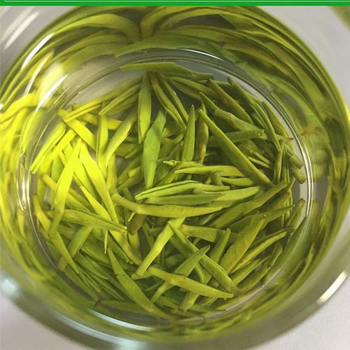 峨眉山茶的功效与禁忌事项