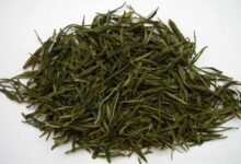 喝峡州碧峰茶有什么好处，盘点峡州碧峰茶的八大功效-茗扬网