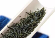 长饮峡州碧峰的功效及作用-茗扬网