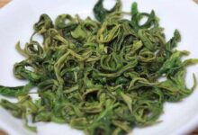 马边云雾茶的功效与禁忌事项-茗扬网