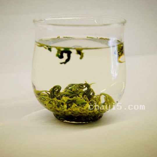 茶叶马边云雾茶的作用与禁忌