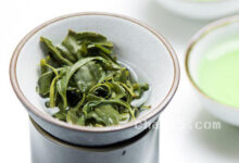 马边云雾茶的功效与作用 马边云雾茶什么时候喝最好-茗扬网
