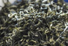 长饮马边云雾茶的功效及作用-茗扬网