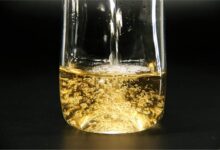 马边云雾茶的工艺是什么？有哪些特点？-茗扬网