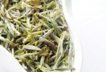 大悟绿茶的功效与禁忌事项-茗扬网