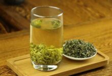 长饮大悟绿茶的功效及作用-茗扬网