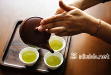 冲泡大悟绿茶需要洗茶吗-茗扬网