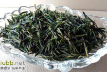 松峰绿茶的十大养生功效-茗扬网