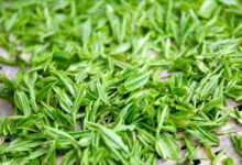 喝井冈翠绿茶有什么好处，盘点井冈翠绿茶的八大功效-茗扬网