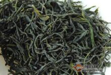 喝陕南绿茶的好处-茗扬网