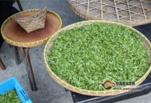 陕南绿茶制作工艺-茗扬网
