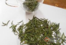 陕南绿茶喝了上火吗-茗扬网