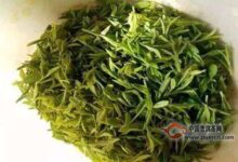 陕南绿茶特点-茗扬网
