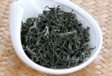 官庄毛尖的功效与作用 官庄毛尖的泡法-茗扬网