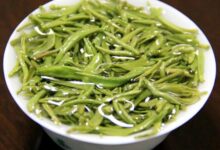 长饮官庄毛尖的功效及作用-茗扬网