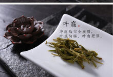 官庄毛尖是什么茶，官庄毛尖怎么冲泡？-茗扬网