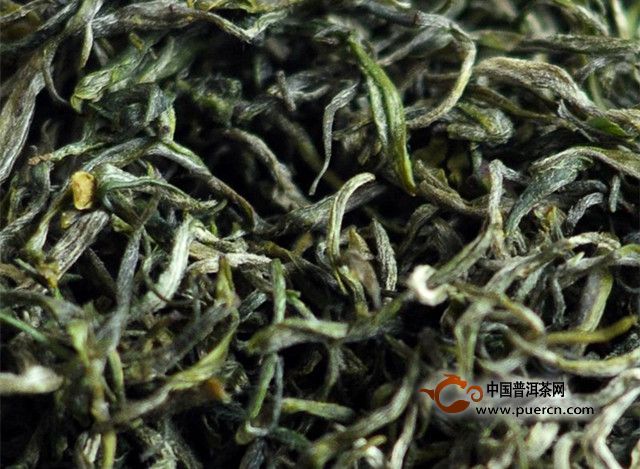 官庄毛尖的特点
