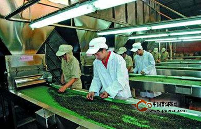 官庄毛尖的特点