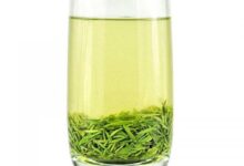 官庄毛尖怎么泡 官庄毛尖的正确泡法-茗扬网