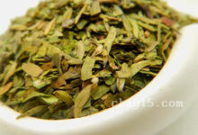 茶叶龙井白茶的作用与禁忌-茗扬网