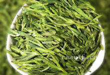 龙井白茶的功效与作用 龙井白茶的泡法-茗扬网