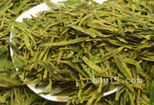 龙井白茶的功效与作用 龙井白茶的禁忌事项-茗扬网