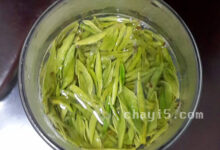 龙井白茶的冲泡方法，7步泡出好喝的龙井白茶-茗扬网