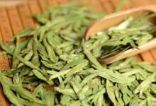 长饮龙井白茶的功效及作用-茗扬网