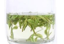 龙井白茶是什么茶，龙井白茶怎么冲泡？-茗扬网