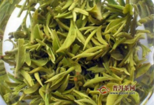 碧螺春和龙井白茶的区别-茗扬网