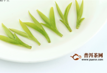 雀舌龙井白茶哪个好喝-茗扬网