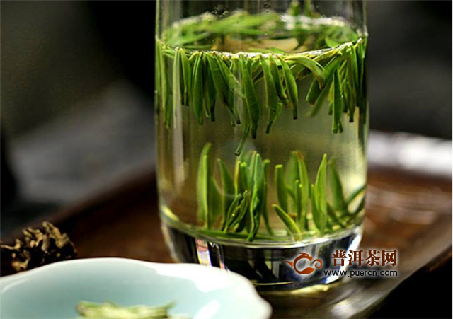 雀舌龙井白茶哪个好喝