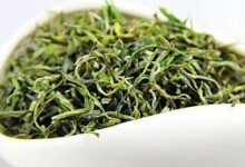 兰溪毛峰的功效与禁忌事项-茗扬网