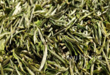 兰溪毛峰的功效与作用 兰溪毛峰什么时候喝最好-茗扬网