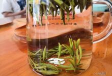 兰溪毛峰怎么保存-茗扬网