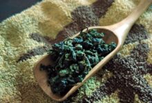 喝周打铁茶对身体有什么好处-茗扬网