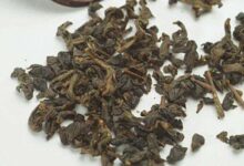 周打铁茶的功效与禁忌事项-茗扬网