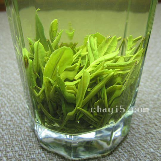 茶叶周打铁茶的作用与禁忌