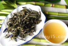 周打铁茶的功效与作用 周打铁茶的禁忌事项-茗扬网