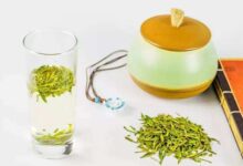 长饮周打铁茶的功效及作用-茗扬网