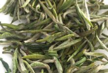 周打铁茶是什么茶 周打铁茶的功效与作用-茗扬网