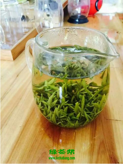周打铁茶是什么茶 周打铁茶的功效与作用