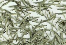 喝白马毛尖茶对身体有什么好处-茗扬网