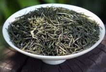 白马毛尖的功效与禁忌事项-茗扬网