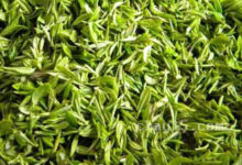 茶叶白马毛尖的作用与禁忌-茗扬网
