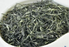 白马毛尖的功效与作用 白马毛尖的泡法-茗扬网